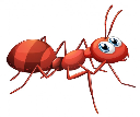 hình ảnh animals : động vật; sâu bọ, côn trùng; con kiến