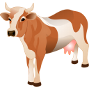 hình ảnh animals : động vật; Vật Nuôi, animal; con bò sữa, bò sữa, cow