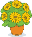 hình ảnh plant : thực vật; flower: hoa, tree: cây; cây, hoa, chậu hoa