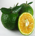 hình ảnh plant : thực vật; Fruit: trái cây; quả cam, trái cam, cam