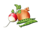 hình ảnh plant : thực vật; eat: ăn,  food: thức ăn, drinking: uống; rau quả